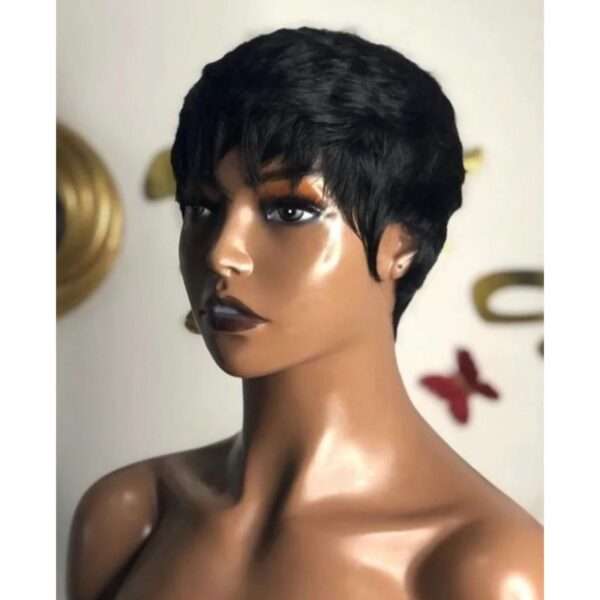 Pixie Wig